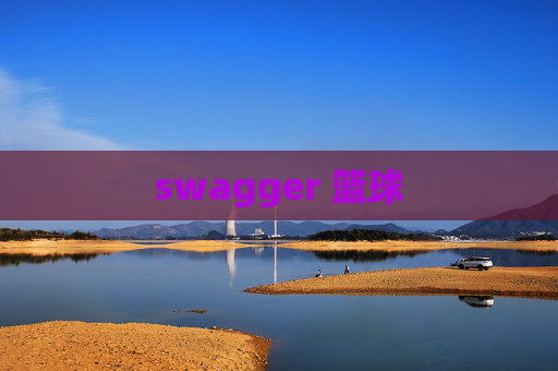 swagger 篮球 swagger 篮球